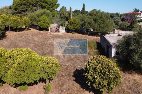 Helårsgrund i Avola, Siracusa, Avola - € 38.000 | Ref: AV TER 12 - foto 27