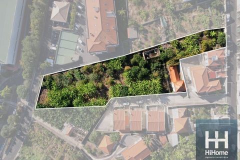 Terra a Sao Roque, Madeira, Sao Roque - € 900.000 | Ref: HH_2650MD25 - foto 2