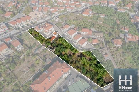 Terra a Sao Roque, Madeira, Sao Roque - € 900.000 | Ref: HH_2650MD25 - foto 3