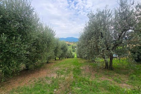 Byhus i Terni, Terni, Terni - € 78.000 | Ref: Collescipoli02 - foto 3