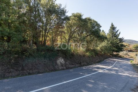 Helårsgrund i Folques, Coimbra, Folques - € 29.900 | Ref: ZMPT581609 - foto 12