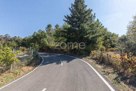 Helårsgrund i Folques, Coimbra, Folques - € 29.900 | Ref: ZMPT581609 - foto 2