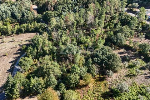 Helårsgrund i Folques, Coimbra, Folques - € 29.900 | Ref: ZMPT581609 - foto 7