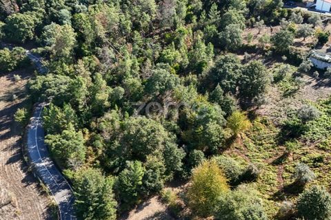 Helårsgrund i Folques, Coimbra, Folques - € 29.900 | Ref: ZMPT581609 - foto 8