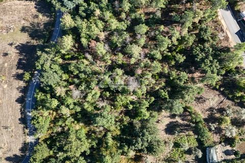 Helårsgrund i Folques, Coimbra, Folques - € 29.900 | Ref: ZMPT581609 - foto 9