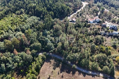 Helårsgrund i Folques, Coimbra, Folques - € 29.900 | Ref: ZMPT581609 - foto 10