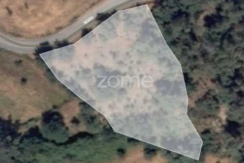 Tomt i Folques, Coimbra, Folques - € 24 900 | Ref: ZMPT581609 - foto 4