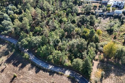 Tomt i Folques, Coimbra, Folques - € 24 900 | Ref: ZMPT581609 - foto 5