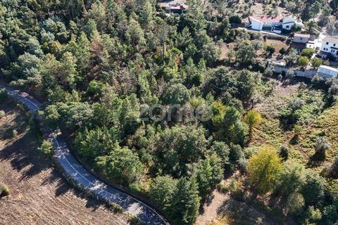 Tomt i Folques, Coimbra, Folques - € 24 900 | Ref: ZMPT581609 - foto 6