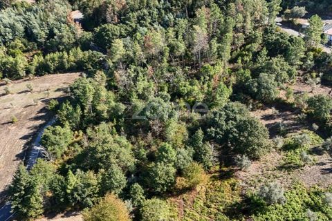 Tomt i Folques, Coimbra, Folques - € 24 900 | Ref: ZMPT581609 - foto 7