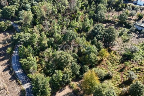 Tomt i Folques, Coimbra, Folques - € 24 900 | Ref: ZMPT581609 - foto 8