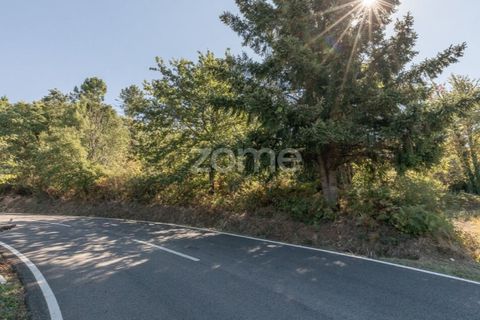 Tomt i Folques, Coimbra, Folques - € 24 900 | Ref: ZMPT581609 - foto 11