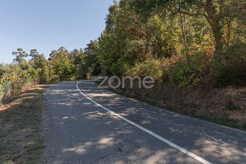 Tomt i Folques, Coimbra, Folques - € 24 900 | Ref: ZMPT581609 - foto 13