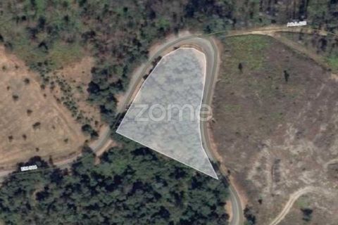 Terra a Folques, Coimbra, Folques - € 24.900 | Ref: ZMPT581612 - foto 5