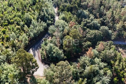 Terra a Folques, Coimbra, Folques - € 24.900 | Ref: ZMPT581612 - foto 6