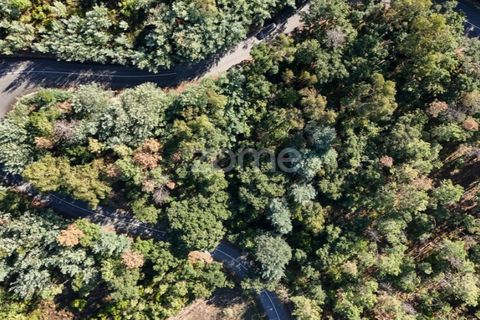 Terra a Folques, Coimbra, Folques - € 24.900 | Ref: ZMPT581612 - foto 7