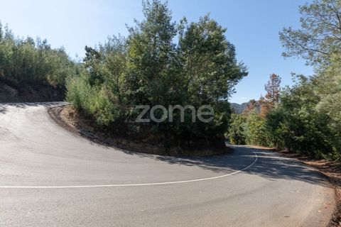 Terra a Folques, Coimbra, Folques - € 24.900 | Ref: ZMPT581612 - foto 9