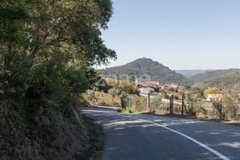 Terra a Folques, Coimbra, Folques - € 24.900 | Ref: ZMPT581612 - foto 10