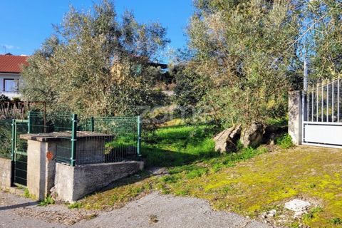 Helårsgrund i Viseu, Viseu, Viseu - € 51.000 | Ref: ZMPT573948 - foto 2
