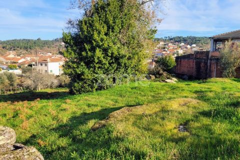 Helårsgrund i Viseu, Viseu, Viseu - € 51.000 | Ref: ZMPT573948 - foto 9