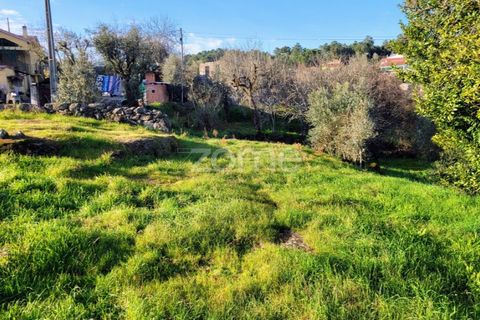 Helårsgrund i Viseu, Viseu, Viseu - € 51.000 | Ref: ZMPT573948 - foto 13