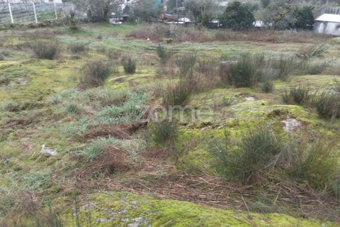 Helårsgrund i Viseu, Viseu, Viseu - € 51.000 | Ref: ZMPT573948 - foto 15