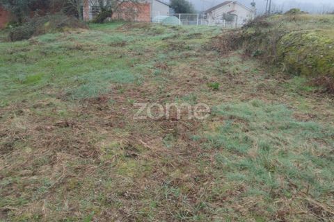 Helårsgrund i Viseu, Viseu, Viseu - € 51.000 | Ref: ZMPT573948 - foto 19