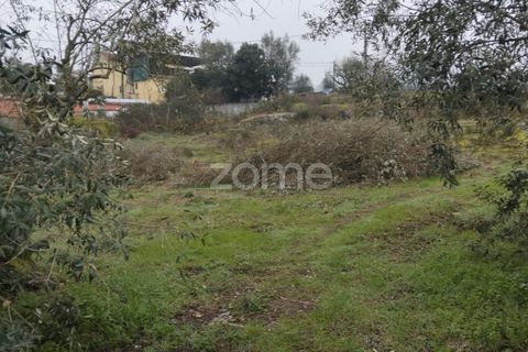 Helårsgrund i Viseu, Viseu, Viseu - € 51.000 | Ref: ZMPT573948 - foto 26