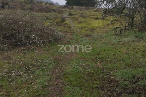 Helårsgrund i Viseu, Viseu, Viseu - € 51.000 | Ref: ZMPT573948 - foto 28