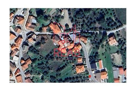 Villa i Aguiar da Beira, Guarda, Aguiar da Beira - € 170.000 | Ref: 248/ 2025 - foto 30