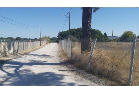 Erhvervsejendom i Quinta do Anjo, Setubal, Quinta do Anjo - € 400.000 | Ref: PH3419 - foto 1