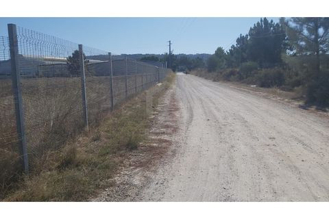 Erhvervsejendom i Quinta do Anjo, Setubal, Quinta do Anjo - € 400.000 | Ref: PH3419 - foto 3
