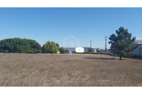 Erhvervsejendom i Quinta do Anjo, Setubal, Quinta do Anjo - € 400.000 | Ref: PH3419 - foto 5