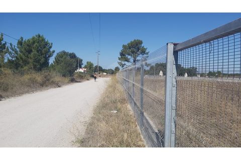Erhvervsejendom i Quinta do Anjo, Setubal, Quinta do Anjo - € 400.000 | Ref: PH3419 - foto 6
