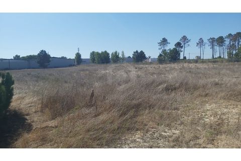 Erhvervsejendom i Quinta do Anjo, Setubal, Quinta do Anjo - € 400.000 | Ref: PH3419 - foto 7