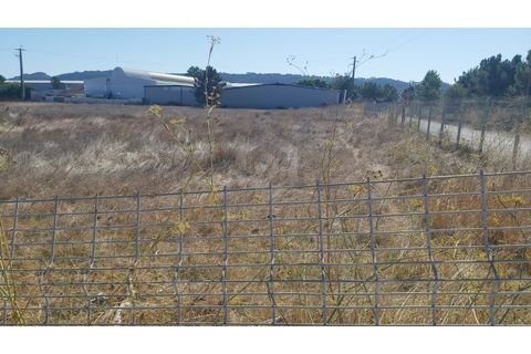Erhvervsejendom i Quinta do Anjo, Setubal, Quinta do Anjo - € 400.000 | Ref: PH3419 - foto 9