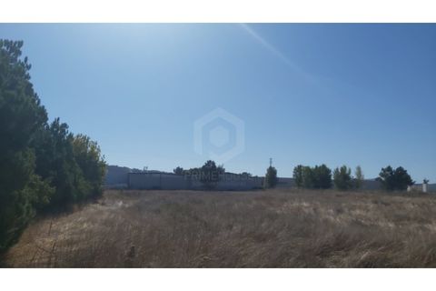 Erhvervsejendom i Quinta do Anjo, Setubal, Quinta do Anjo - € 400.000 | Ref: PH3419 - foto 10