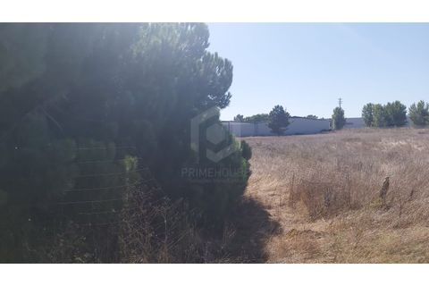 Erhvervsejendom i Quinta do Anjo, Setubal, Quinta do Anjo - € 400.000 | Ref: PH3419 - foto 12