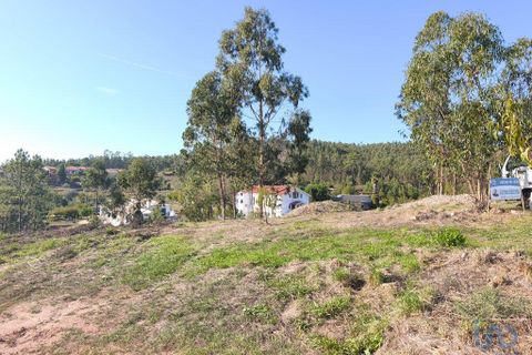 Terra a Anadia, Aveiro, Anadia - € 35.000 | Ref: 151101 - foto 2