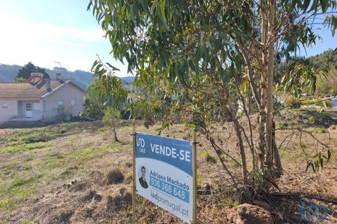 Terra a Anadia, Aveiro, Anadia - € 35.000 | Ref: 151101 - foto 3
