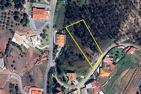 Terra a Anadia, Aveiro, Anadia - € 35.000 | Ref: 151101 - foto 4