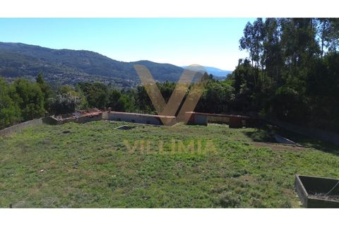 Landejendom i Ponte de Lima, Viana do Castelo, Ponte de Lima - € 99.000 | Ref: V343 - foto 5