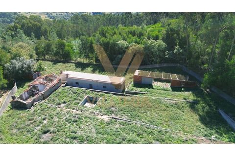 Landejendom i Ponte de Lima, Viana do Castelo, Ponte de Lima - € 99.000 | Ref: V343 - foto 8