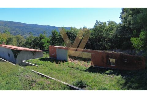 Landejendom i Ponte de Lima, Viana do Castelo, Ponte de Lima - € 99.000 | Ref: V343 - foto 9