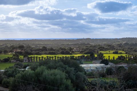Byhus i Ses Salines, Mallorca, Ses Salines - € 2.500.000 | Ref: 82592 - foto 31