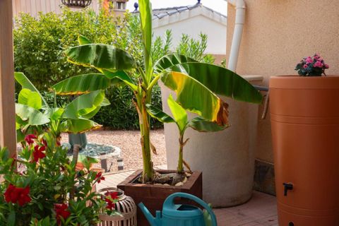 Villa i Ciudad Quesada, Alicante, Ciudad Quesada - € 449.950 | Ref: VB-37268 - foto 13