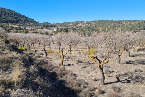 Masia a Onil, Alicante, Onil - € 489.000 | Ref: AM0046 - foto 11