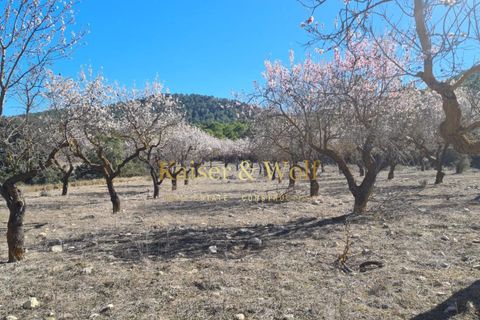 Masia a Onil, Alicante, Onil - € 489.000 | Ref: AM0046 - foto 12