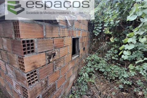Villa a Silvares, Castelo Branco, Silvares - € 14.000 | Ref: 5879/CP - foto 10
