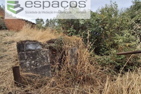 Villa a Silvares, Castelo Branco, Silvares - € 14.000 | Ref: 5879/CP - foto 14